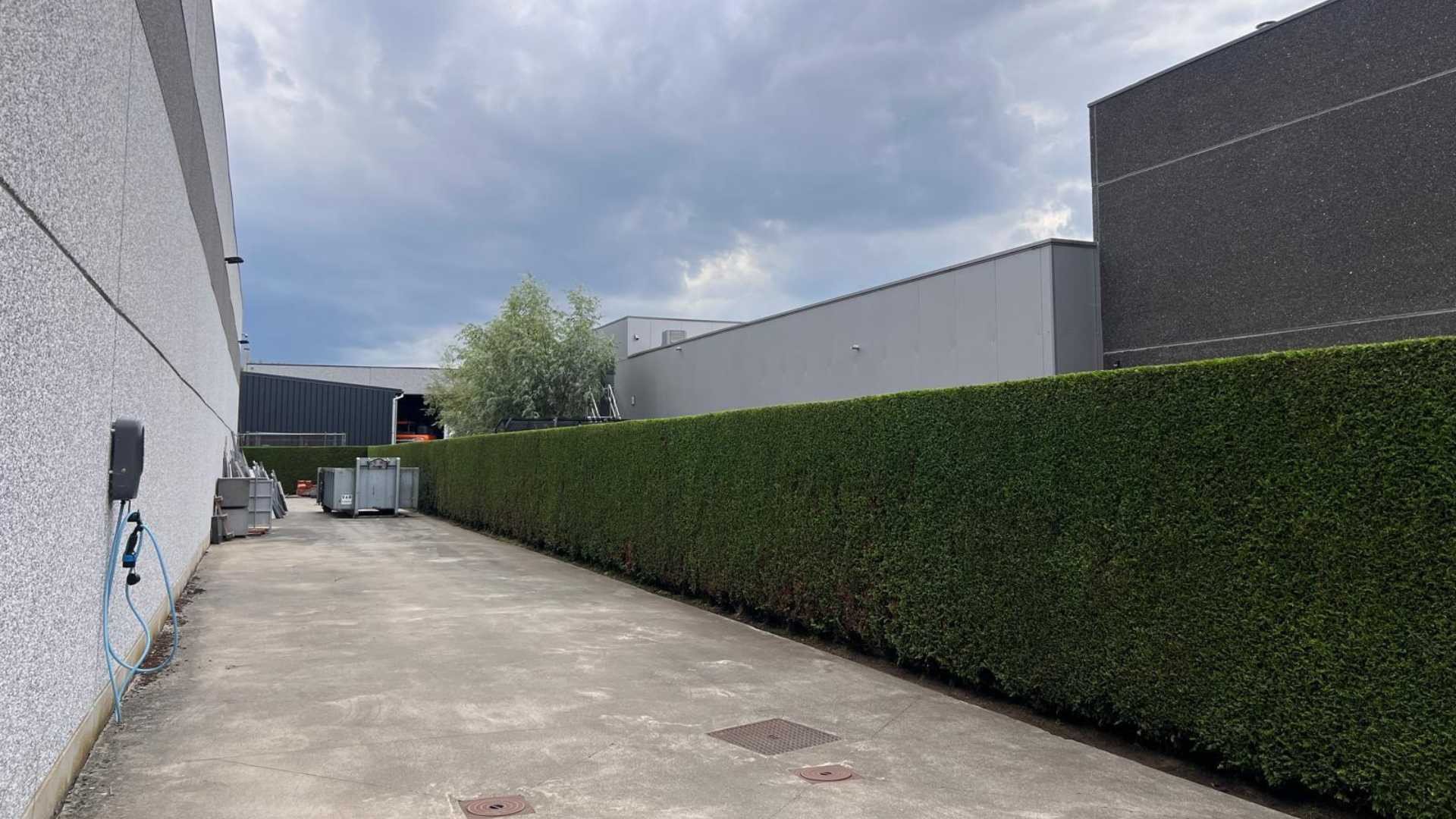 hagen onderhouden door tuinaannemer waasland